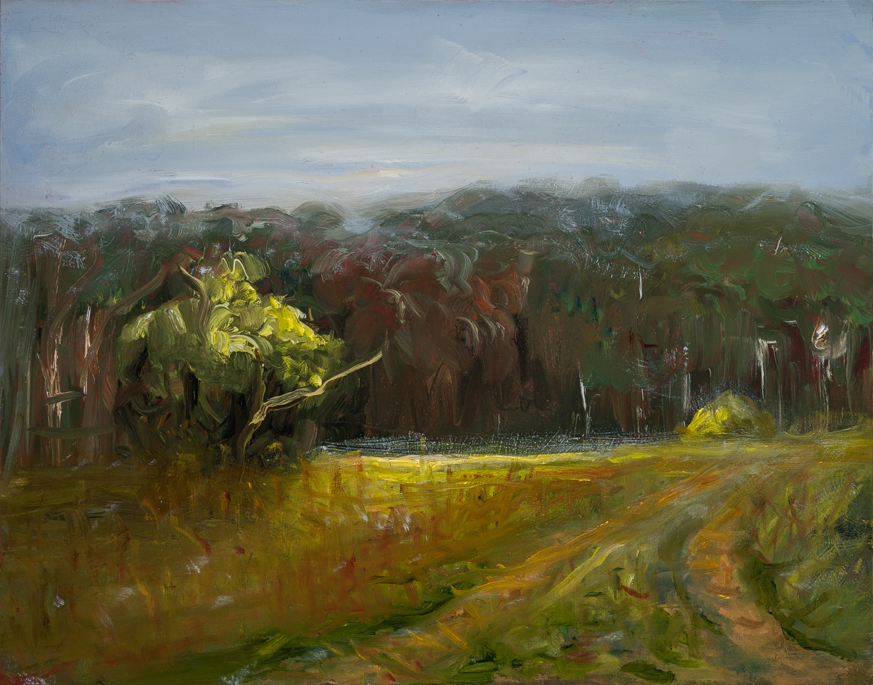 Landscape