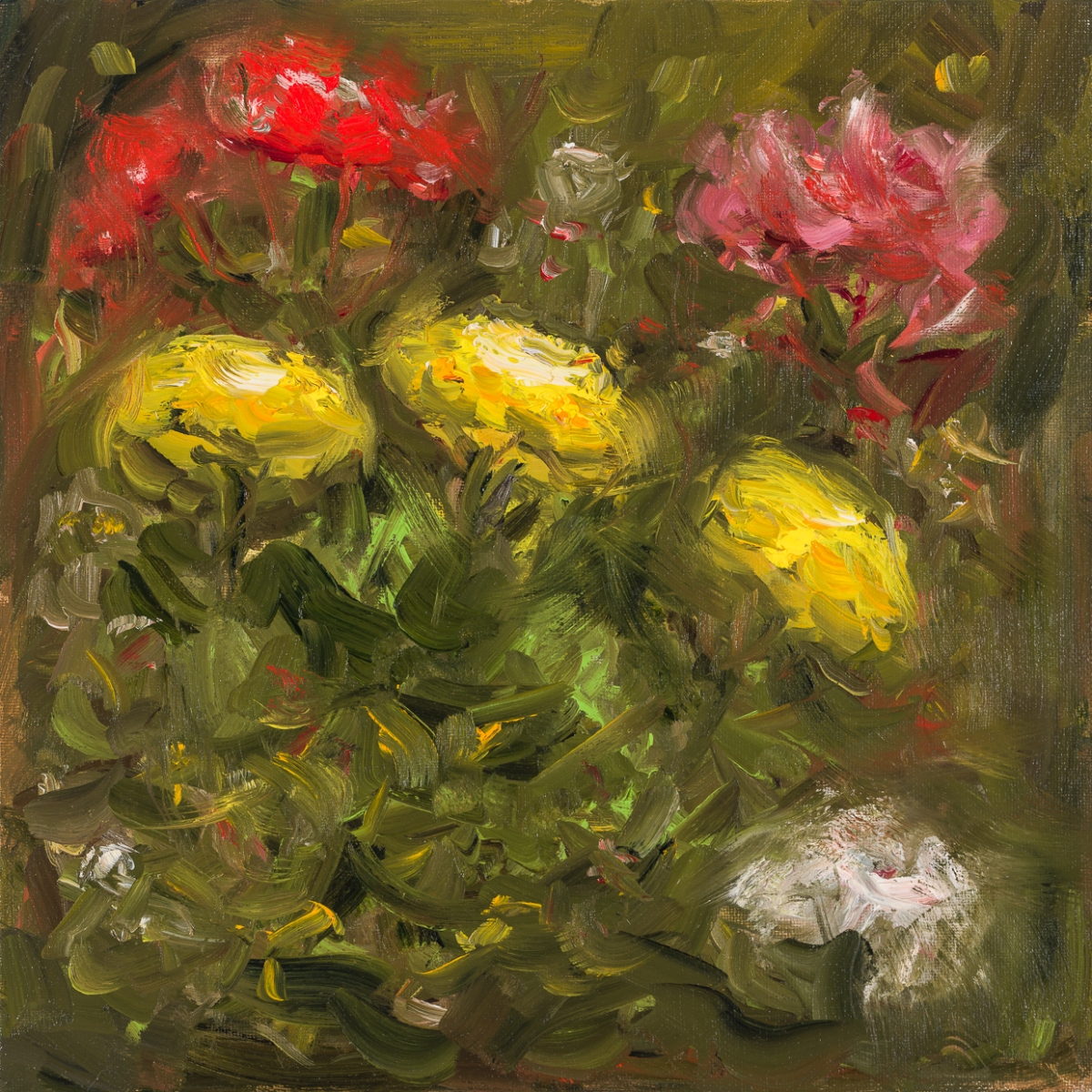 Still life